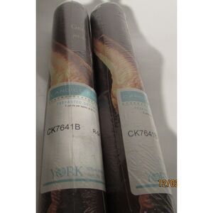 Candice Olson wallpaper border dinosaur print kids room 2 rolls 5yds each new